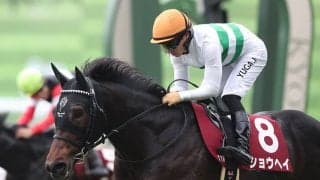 【競馬予想】ダービーは意外と「荒れる」　高配当の使者は皐月賞組ではなく別路線組にいる!?