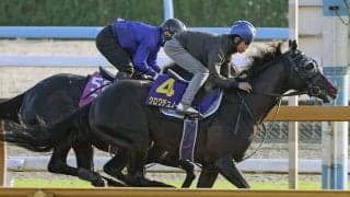 【競馬予想】日本ダービーでクロワデュノールは本当に「１強」なのか　示される最強の証明