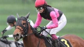 【葵S枠順確定】ムイは7枠13番、ウイントワイライトは1枠2番