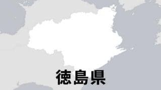 むつみスタジアムの外野照明不具合　インディゴと阪神2軍の試合中止