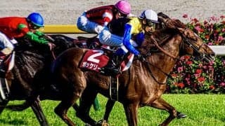 重賞3勝の古豪ボッケリーニが登録抹消 今後は種牡馬になる予定