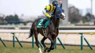 芝・ダートの3歳チャンピオン決定戦 2つの“ダービー”を血統的側面から注目馬を探る
