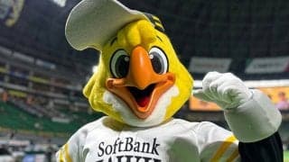 特技は大道芸、苦手は水泳　努力を積む鷹マスコットの“究極目標”は「400点」