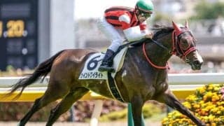 【葵S予想】フレッシュさを失っていないことが重要!? 無傷の三連勝を狙う逸材に立ちはだかる壁とは