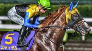 【アハルテケS】金子真人オーナーの2億円馬 ユティタムが復活Vなるか