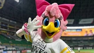 見てほしい「ピンクのポニーテール」　濡れるの恐れて「雨は少し苦手」…鷹のマスコット