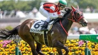 【今日の注目ポイント】京都で3歳スプリント重賞・葵S