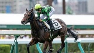 【葵S予想】日本ダービー前日に行われる3歳短距離戦 未来のスプリント王を目指す快足馬集結