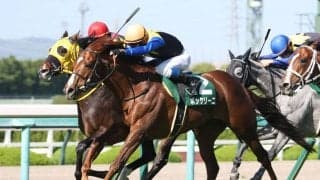 古豪ボッケリーニの競走馬登録抹消…種牡馬入り