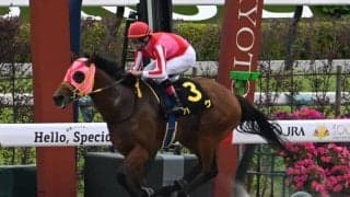 【鳳雛S結果】5番人気ハグが好位から抜け出し快勝