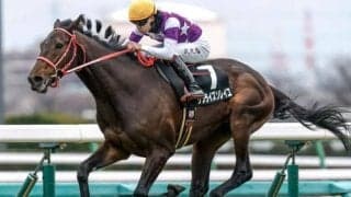 【目黒記念予想】前走のレース格が好走の鍵!? 連勝中の人気馬を軽視したい最大の理由とは