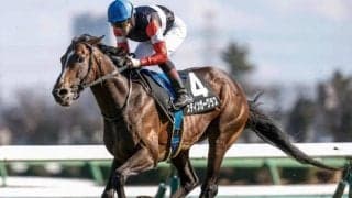 【目黒記念前日オッズ】スティンガーグラスが3.3倍で1番人気