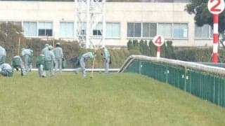 裏方が「世界一」の技術で支える　日本ダービーの舞台･東京競馬場