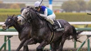 【目黒記念】菊花賞3着のアドマイヤテラ 武豊騎手で重賞初制覇狙う