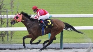 【鳳雛S】ジャスティファイ産駒 ハグがオープン初勝利