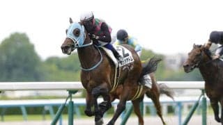 【京都4R】14番人気ダンツアトムが逃げ切って大波乱