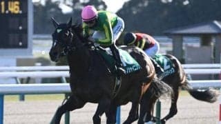 【AI予想・日本ダービー】大偉業達成へ人工知能も後押し！ 本命は捲土重来を誓う実力馬