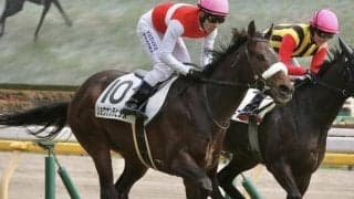 【むらさき賞】セレクト2.2億円のショウナンラピダス オープン入りなるか