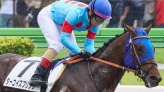 東京ダートは高速決着 ターコイズフリンジの押し切りだ