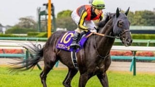 【日本ダービー予想】世代の頂点を決する戦いに優駿18頭 最高の栄誉を手にする人馬は