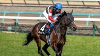 【目黒記念予想】ダービーの後には伝統の一戦 波乱含みのハンデ重賞