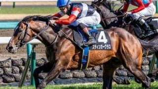 【目黒記念】半姉は名牝ダノンファンタジー スティンガーグラスが重賞初制覇狙う