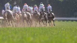 【日本ダービー／馬場情報】雨の土曜も“内枠と逃げ”が台頭　馬場が乾けば皐月賞上位馬＋内枠伏兵に警戒