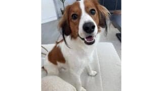 大谷翔平、愛らしいデコピンを投稿　激勝→11分後に即帰宅…お座りしてカメラ目線