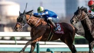 日本ダービーはファウストラーゼンのマクリがカギ どれだけペースアップするか