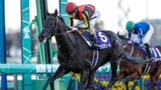 【日本ダービー・馬体重】クロワデュノールは504kg(+4)、ミュージアムマイルは496kg(-4)