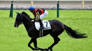 【日本ダービー】皐月賞馬ミュージアムマイルは二冠ならず