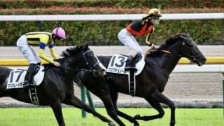 【日本ダービー】クロワデュノールが世代王者に…皐月賞の雪辱をダービーで晴らす