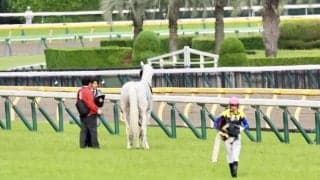 【目黒記念】人気の白毛馬ハヤヤッコが競走中止…右前浅屈腱不全断裂も命に別状なし
