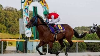 【佐賀・九州優駿栄城賞】ムーンオブザエースが佐賀2冠！秋へ弾みの6勝目