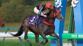 【盛岡・あすなろ賞】古豪健在！9歳ヘリオスが鮮やかな復活劇