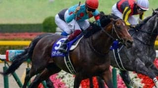 今年産駒デビュー インディチャンプの安田記念制覇