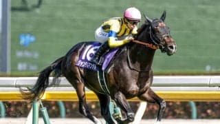 【安田記念見どころ】前走の鬱憤を晴らすジャンタルマンタル