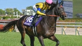 NHKマイルC覇者が安田記念を制したら史上初 今年は2頭が挑む