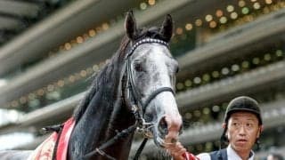 【目黒記念】売上は68億4268万6000円で昨年より約10.4億円増加