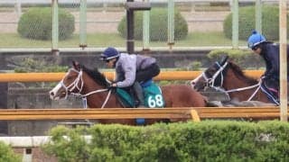 母はオープン含めJRA・7勝 シーミハットクが日曜東京で初陣/関西馬メイクデビュー情報