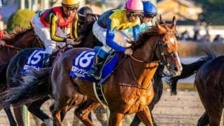 【先週のJRA抹消馬】重賞3勝馬ボッケリーニ、ダート中距離で活躍のバハルダールなど