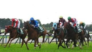 【葵S】売上は38億8625万7200円で昨年より約2.6億円増加