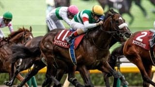 【AI予想・安田記念】好メンバーが揃った春のマイル王決定戦！ 人工知能は実績十分の3頭に高評価