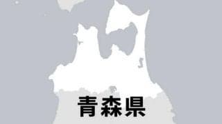 高校サッカー、青森山田がインターハイ県予選敗退　連覇24で止まる