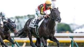 血統表でよく見る名馬「ドミニオン」 クロワデュノールにも受け継がれる名血を深掘り