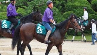 ジョーカーなど、先週の入厩情報/栗東トレセンニュース