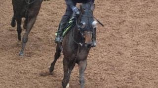 シンハライトの2023(アランカール)など、先週のゲート試験/栗東トレセンニュース