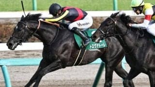 【安田記念】レイデオロ産駒がGI初制覇なるか ダービー卿CT覇者のトロヴァトーレが参戦