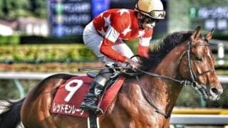 【安田記念】エアグルーヴ一族初のマイルGI制覇へ レッドモンレーヴが参戦