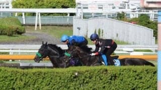 ジャスティンパレスなど、宝塚記念1週前追い切り速報/栗東トレセンニュース